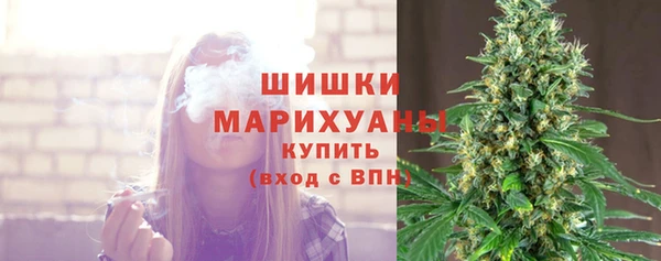 прущие крисы Бородино