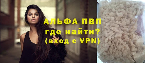 прущие крисы Бородино