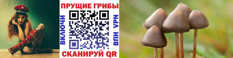kraken зеркало  Стерлитамак  Псилоцибиновые грибы GOLDEN TEACHER 