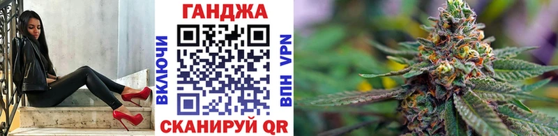 Конопля гибрид  Стерлитамак 